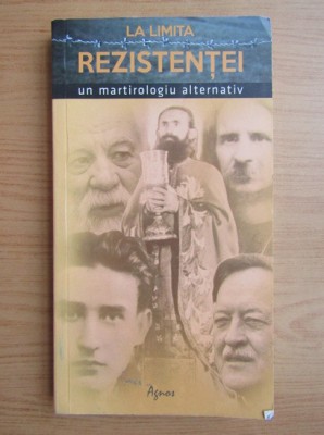 Dragos Boicu - La limita rezistentei. Un martirologiu alternativ foto
