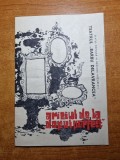 Program teatrul popular regiunea bucuresti - anii &#039;60 - dem radulescu, cartea romaneasca