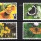 TONGA 2020, Fauna - Fluturi, serie neuzată, MNH