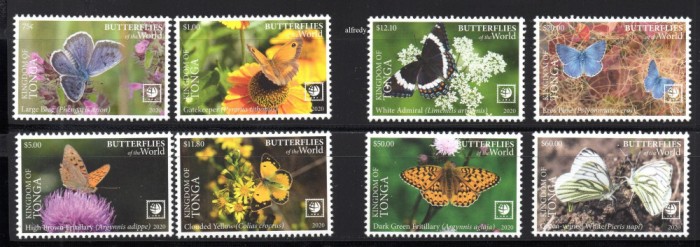 TONGA 2020, Fauna - Fluturi, serie neuzată, MNH