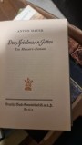 Der Spielmann Gottes : Ein Mozart-Roman - Anton Mayer