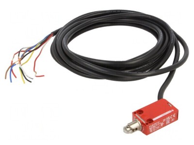 Limitator cursă rolă metalică &amp;Oslash;11,6mm x2 foto