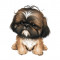 Sticker decorativ Shih Tzu, Maro, 69 cm, 5593ST