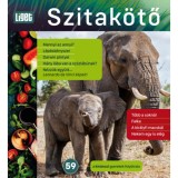 Szitak&ouml;tő 2022/59 - A k&iacute;v&aacute;ncsi gyerekek foly&oacute;irata