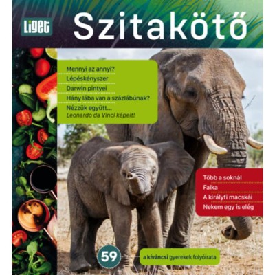 Szitak&amp;ouml;tő 2022/59 - A k&amp;iacute;v&amp;aacute;ncsi gyerekek foly&amp;oacute;irata foto