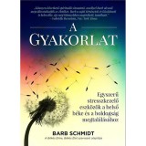A Gyakorlat - Egyszerű stresszkezelő eszk&ouml;z&ouml;k a belső b&eacute;ke &eacute;s a boldogs&aacute;g megtal&aacute;l&aacute;s&aacute;hoz - Barb Schmidt