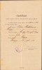 HST A1326 Certificat despre naștere 1920 Lugoj