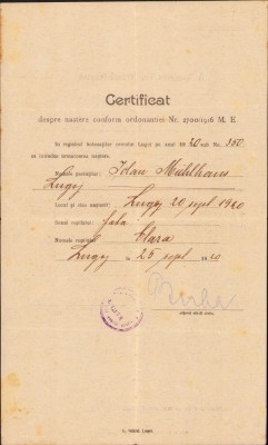 HST A1326 Certificat despre naștere 1920 Lugoj foto