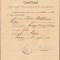 HST A1326 Certificat despre naștere 1920 Lugoj