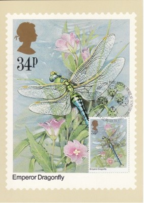 C3647 - Anglia 1985 - CM foto