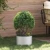 VidaXL Ghivece pentru grădină 5 pcs Argintiu 30 x 30 x 20 cm