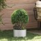 vidaXL Ghivece pentru grădină 5 pcs Argintiu 30 x 30 x 20 cm