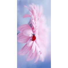 Husa Personalizata HUAWEI P40 Pro Ladybug