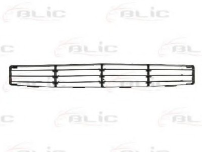 Grila ventilatie, bara protectie FORD FOCUS Combi (DNW) (1999 - 2007) BLIC 6502-07-2532992P foto