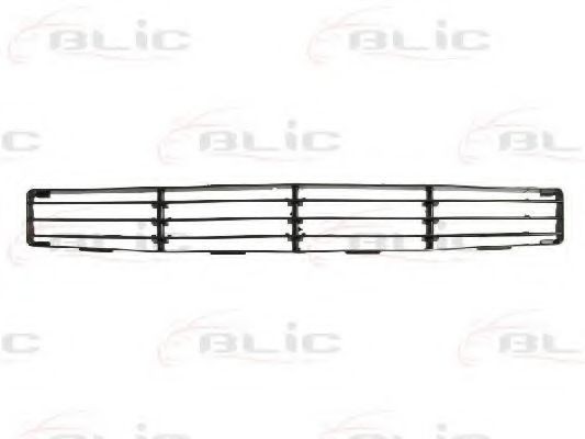 Grila ventilatie, bara protectie FORD FOCUS Combi (DNW) (1999 - 2007) BLIC 6502-07-2532992P