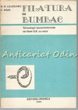 Cumpara ieftin Filatura De Bumbac - N. N. Cojocaru, C. Sava