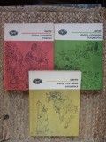 Dante Alighieri - Divina comedie: Purgatoriul, Paradisul, Infernul (3 volume)