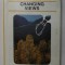 CHANGING VIEWS by JOAN NELSON , 1983