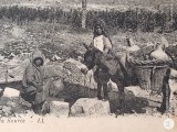 Bizerte , OAZA AFRICANA carte postala circulata , anul 1929 ,deosebita , interesanta ,,corespondenta cu Regatul Romaniei