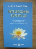ZHI GANG SHA - INTELEPCIUNEA SUFLETULUI - 2010