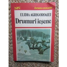 Drumuri iesene - Elidia Agrigoroaiei