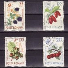 C3307 - Romania 1964 - Fructe de padure 8v.stampilat CTO