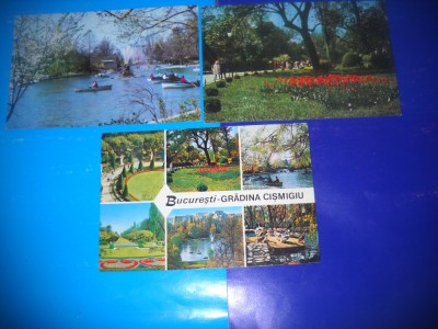 HOPCT LOT 1993 -GRADINA /PARCUL CISMIGIU BUCURESTI -3 CARTI POSTALE-CIRCULATE foto