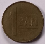 1 Ban 2006 , rara