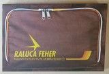 AMERICA DEZGOLITA DE LA BRAU IN JOS de RALUCA FEHER , VOLUMUL I , 2015