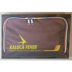 AMERICA DEZGOLITA DE LA BRAU IN JOS de RALUCA FEHER , VOLUMUL I , 2015