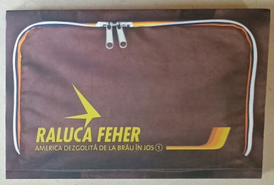 AMERICA DEZGOLITA DE LA BRAU IN JOS de RALUCA FEHER , VOLUMUL I , 2015 foto