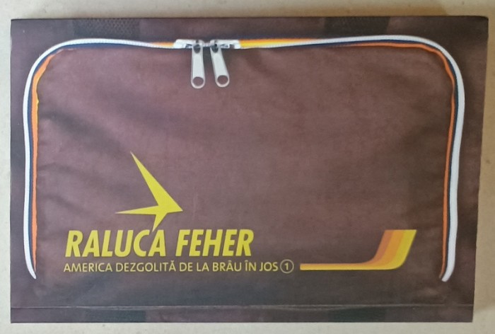 AMERICA DEZGOLITA DE LA BRAU IN JOS de RALUCA FEHER , VOLUMUL I , 2015