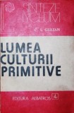 LUMEA CULTURII PRIMITIVE