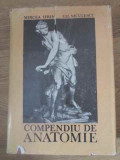 COMPENDIU DE ANATOMIE-MIRCEA IFRIM, GHEORGHE NICULESCU-349046