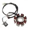 Stator aprindere si cititor Kymco Super 9 2T, 8 bobine Cod Produs: MX_NEW AI22552