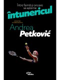 Intre faima si onoare se asterne intunericul | Andrea Petkovic