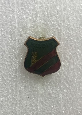 Insigna fotbal FC Olt foto