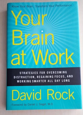 Your Brain at Work - David Rock foto