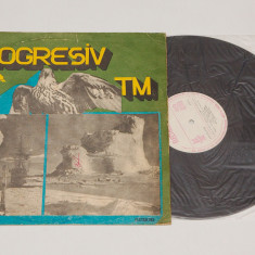 Progresiv TM ‎– Dreptul De A Visa - disc vinil ( vinyl , LP )