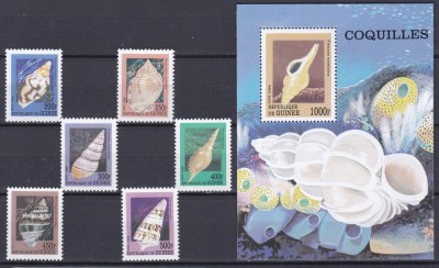 DB1 Fauna Marina Scoici Guineea 1998 6 v. + SS MNH foto