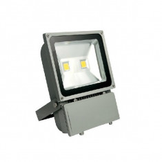 Proiector LED 100W Alb Cald 220V 2x50W foto