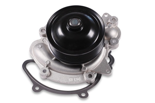HEPU P1521 Pompă de apă, răcire motor