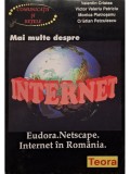 Valentin Cristea - Mai multe despre internet (Editia: 1996)