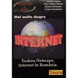 Valentin Cristea - Mai multe despre internet (Editia: 1996)