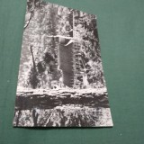 CARTE POSTALA CIRCULATA BRASOV BISERICA NEAGRA