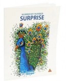 Carte de colorat pentru adulti Number by number Surprize 2