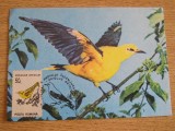 C12 - maxima Romania - tematica pasari 12 - prima zi a emisiunii sau expozitii, Romania de la 1950, Fauna