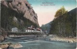 CP700N Băile Herculane, Baia Romană Hercules, Editura Viliam Krizs&aacute;ny Băile Herculane 1925, carte poștală circulată Băile Herculane &ndash; Spineni, Olt