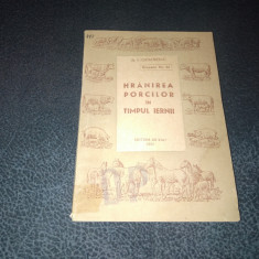 I IORDANESCU - HRANIREA PORCILOR IN TIMPUL IERNII 1951