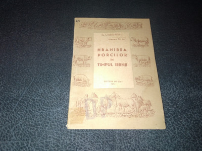 I IORDANESCU - HRANIREA PORCILOR IN TIMPUL IERNII 1951 foto